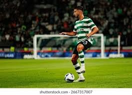 不和谐，太阳报：拜仁球迷在赛前与现场警察和安保发生冲突