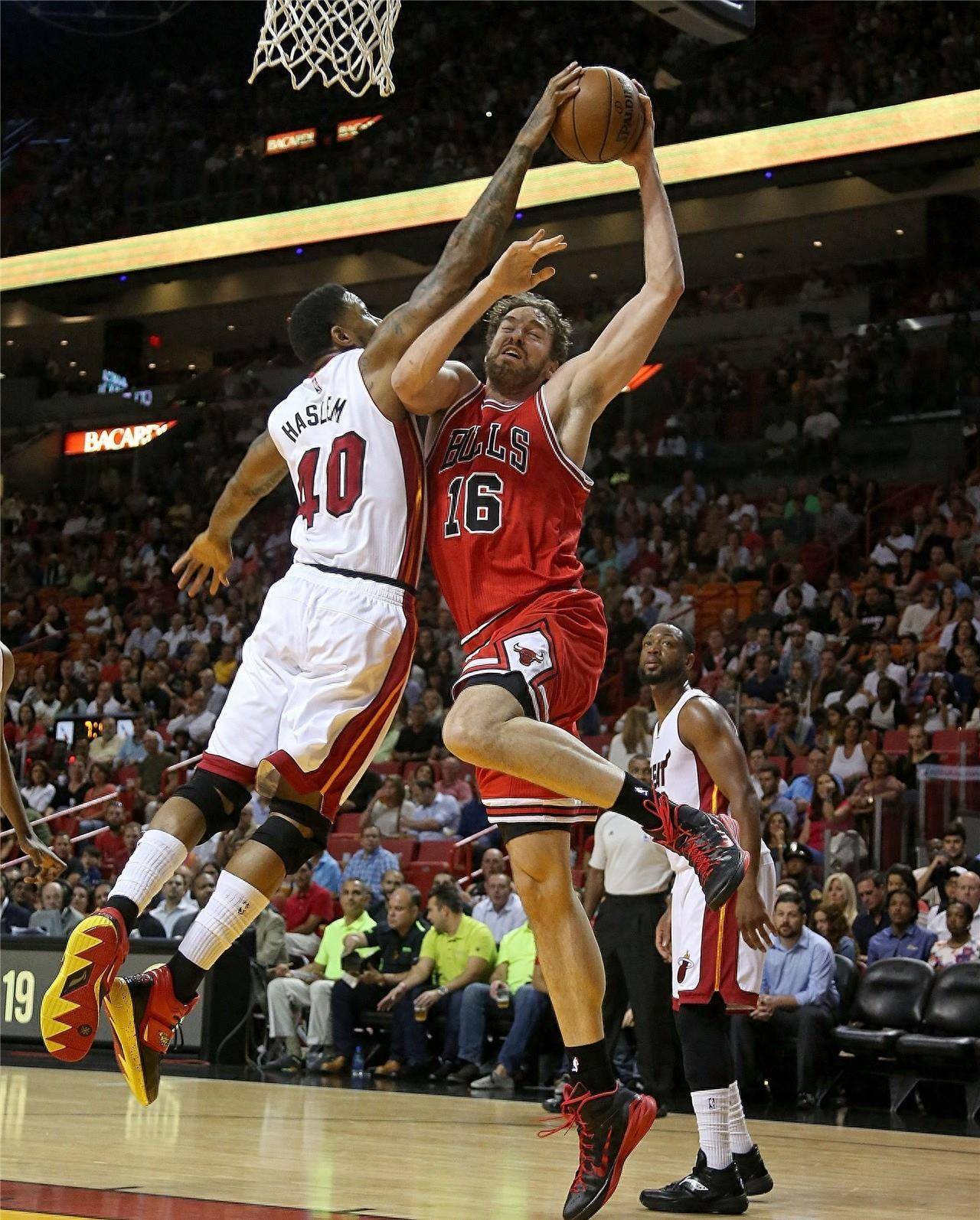 球迷文化的 球迷文化的