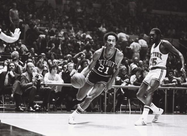 灰熊有过类 灰熊有过类